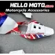 Honda CBR 1000RR 2004-2005 Fairing P/N 1F33