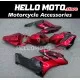 Honda CBR 1000RR 2004-2005 Fairing P/N 1F39