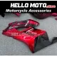 Honda CBR 1000RR 2004-2005 Fairing P/N 1F39