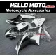 Honda CBR 1000RR 2006-2007 Fairing P/N 1G1