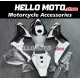 Honda CBR 1000RR 2006-2007 Fairing P/N 1G1
