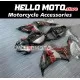 Honda CBR 1000RR 2006-2007 Fairing P/N 1G8