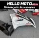 Honda CBR 1000RR 2006-2007 Fairing P/N 1G28
