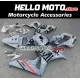 Honda CBR 1000RR 2006-2007 Fairing P/N 1G29