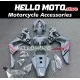Honda CBR 1000RR 2006-2007 Fairing P/N 1G29