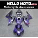 Honda CBR 1000RR 2006-2007 Fairing P/N 1G41 Honda CBR 1000RR 2006-2007 Fairing P/N 1G41