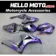 Honda CBR 1000RR 2006-2007 Fairing P/N 1G41 Honda CBR 1000RR 2006-2007 Fairing P/N 1G41