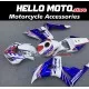 Honda CBR 1000RR 2006-2007 Fairing P/N 1G43