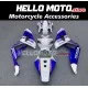 Honda CBR 1000RR 2006-2007 Fairing P/N 1G43