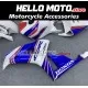 Honda CBR 1000RR 2006-2007 Fairing P/N 1G43