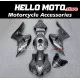 Honda CBR 1000RR 2006-2007 Fairing P/N 1G56