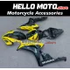Honda CBR 1000RR 2006-2007 Fairing P/N 1G74