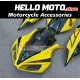 Honda CBR 1000RR 2006-2007 Fairing P/N 1G74