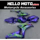 Honda CBR 1000RR 2006-2007 Fairing P/N 1G78 Honda CBR 1000RR 2006-2007 Fairing P/N 1G78