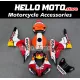 Honda CBR 1000RR 2006-2007 Fairing P/N 1G51