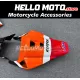 Honda CBR 1000RR 2006-2007 Fairing P/N 1G51
