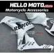 Honda CBR 1000RR 2006-2007 Fairing P/N 1G3