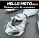 Honda CBR 1000RR 2006-2007 Fairing P/N 1G3