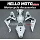 Honda CBR 1000RR 2006-2007 Fairing P/N 1G3