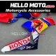 Honda CBR 1000RR 2006-2007 Fairing P/N 1G22