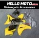 Honda CBR 1000RR 2008-2011 Fairing P/N 1H2