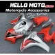 Honda CBR 1000RR 2008-2011 Fairing P/N 1H9