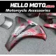 Honda CBR 1000RR 2008-2011 Fairing P/N 1H21