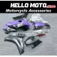 Honda CBR 1000RR 2008-2011 Fairing P/N 1H1