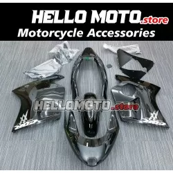 Honda CBR 1100XX SuperBlackBird 1997-2007 Fairing P/N 1AH2