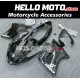 Honda CBR 1100XX SuperBlackBird 1997-2007 Fairing P/N 1AH2