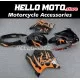 Honda CBR 1100XX SuperBlackBird 1997-2007 Fairing P/N 1AH6