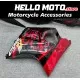 Honda CBR 1100XX SuperBlackBird 1997-2007 Fairing P/N 1AH1