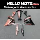 Honda CBR 250R MC41 2011-2015 Fairing P/N 1R8