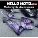 Honda CBR 600RR 2005-2006 Fairing P/N 1B6