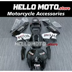 Honda CBR 600RR 2005-2006 Fairing P/N 1B9
