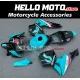 Honda CBR 600RR 2005-2006 Fairing P/N 1B20