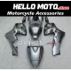 Honda CBR 600RR 2005-2006 Fairing P/N 1B55