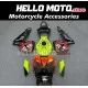 Honda CBR 600RR 2005-2006 Fairing P/N 1B51