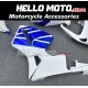 Honda CBR 600RR 2005-2006 Fairing P/N 1B54