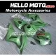 Honda CBR 600RR 2007-2008 Fairing P/N 1C7