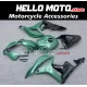 Honda CBR 600RR 2007-2008 Fairing P/N 1C29