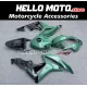 Honda CBR 600RR 2007-2008 Fairing P/N 1C29
