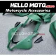 Honda CBR 600RR 2007-2008 Fairing P/N 1C29