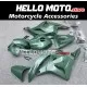 Honda CBR 600RR 2009-2012 Fairing P/N 1D23