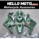 Honda CBR 600RR 2009-2012 Fairing P/N 1D23