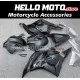 Honda CBR 600RR 2009-2012 Fairing P/N 1D24 Honda CBR 600RR 2009-2012 Fairing P/N 1D24