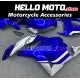 Honda CBR 600RR 2009-2012 Fairing P/N 1D36
