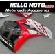 Honda CBR 600RR 2009-2012 Fairing P/N 1D41