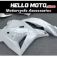 Honda CBR 600RR 2009-2012 Fairing P/N 1D37