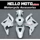 Honda CBR 600RR 2009-2012 Fairing P/N 1D37